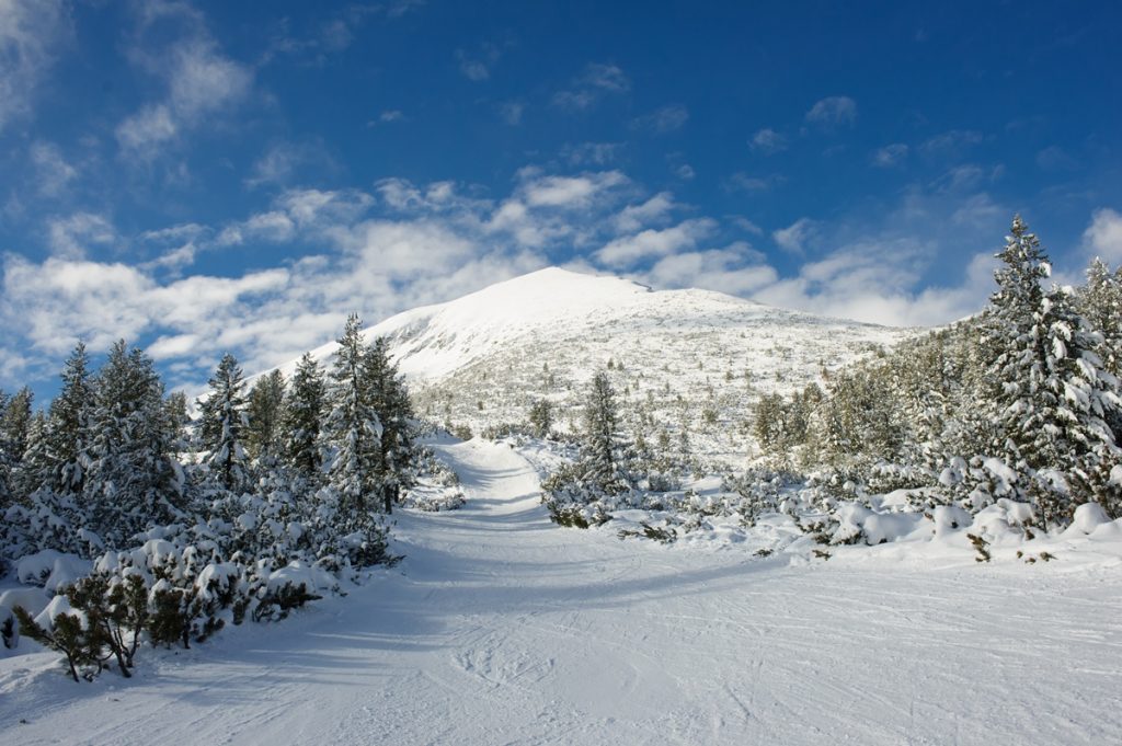 Activities around SPA Hotel Ruskovets — Ruskovets.com