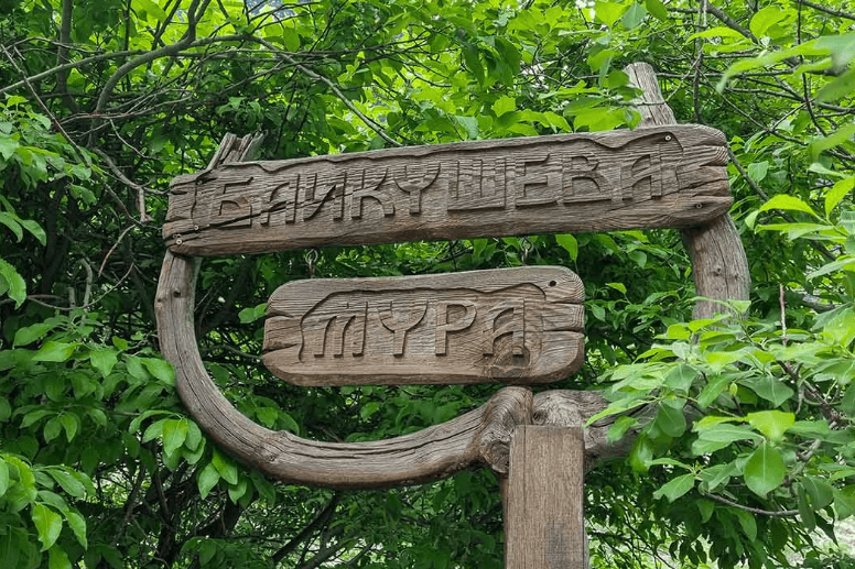 Route to Baykushev’s Pine