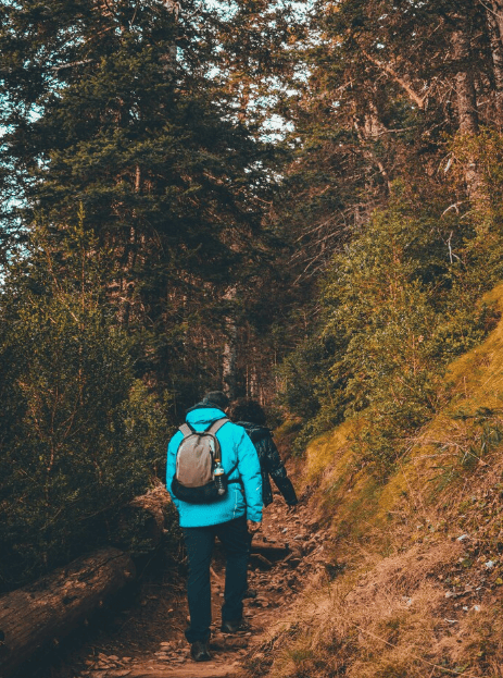 Autumn Hikes in Pirin – Benefits for Nature Lovers - хотел Ruskovets.com Autumn hiking routes in Pirin