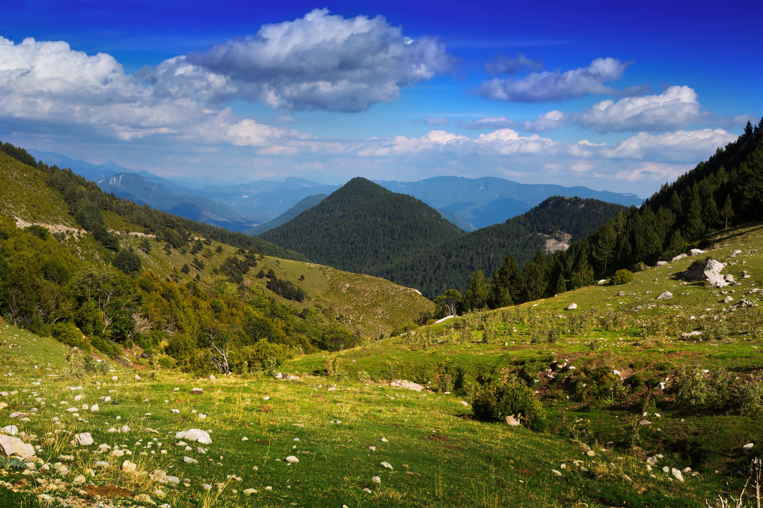 Holiday in the Pirin Mountains
