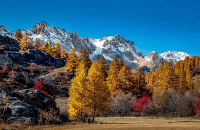Autumn walks in Pirin