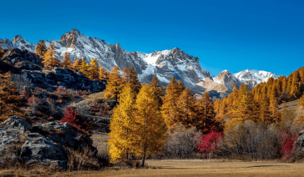 Autumn walks in Pirin