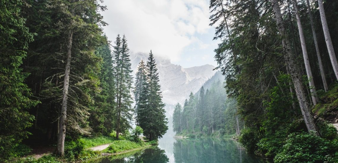 koi-reki-izvirat-ot-rila