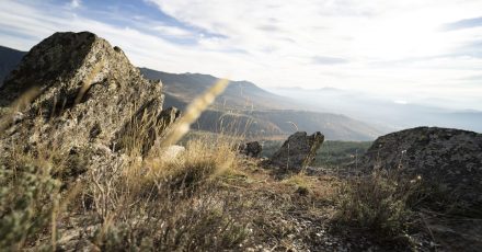 Пашови скали край Добринище