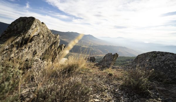 Пашови скали край Добринище