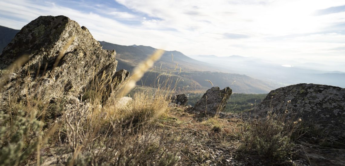 Пашови скали край Добринище