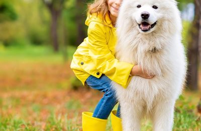 pets-friendly-hotel