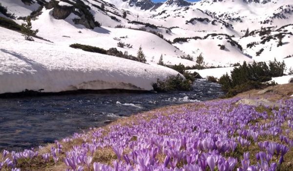 pirin-mountain-in-spring