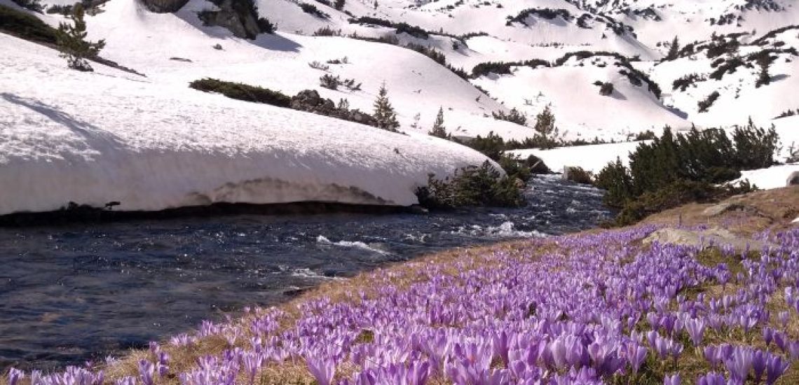 pirin-mountain-in-spring